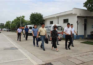 浦東新區(qū)退役軍人事務(wù)局 莊沈芳副局長(zhǎng)來(lái)公司考察調(diào)研