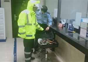 拾金不昧暖人心 正氣滿滿受人贊——宗保公司駐閔行虹橋交通輔警拾