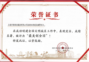 新虹街道交管輔警項(xiàng)目被評為“最美創(chuàng)全團(tuán)”