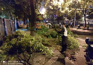 扎實(shí)工作樹新風(fēng)系列2021.5.14