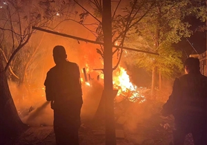 巡邏途中遇火情 報(bào)警撲救控火勢—泥城輔警項(xiàng)目隊(duì)員協(xié)力撲滅林中野